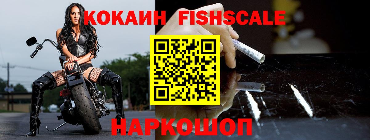 Cocaine Fish Scale  Cocaine FishScale  Вход с VPN  Обнинск 
