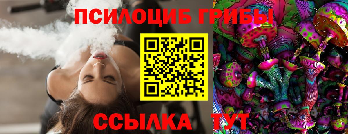 Псилоцибиновые грибы GOLDEN TEACHER Обнинск